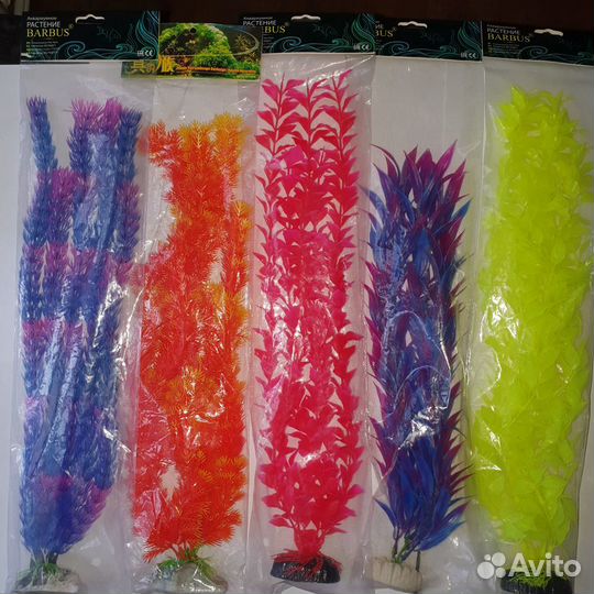 Растения для аквариума