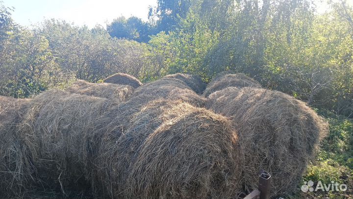 Сено рулоны