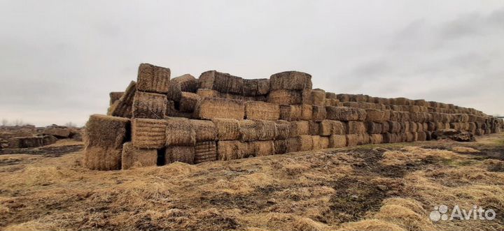 Солома в тюках