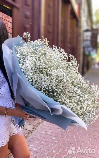 Букеты Гипсофилы