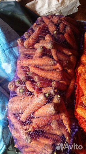 Продам картофель