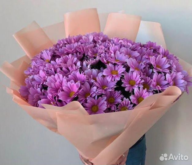 Хризантема ромашка живые цветы букет подарок