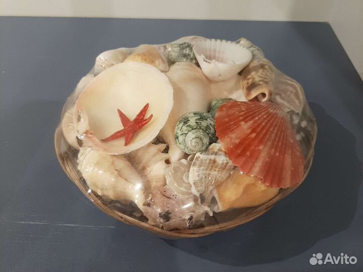 Набор Ракушек