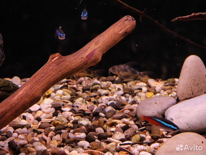 Аквариум 80Шх40Гх45В