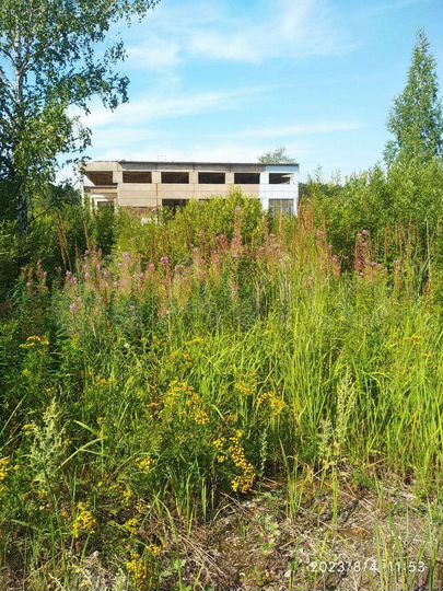 Производство, 200 м²