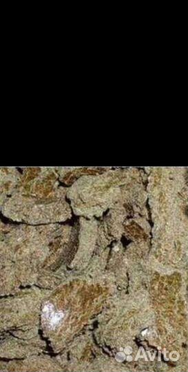 Жом свекловичный гранулированный