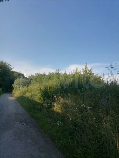 Участок 30,5 сот. (ИЖС)