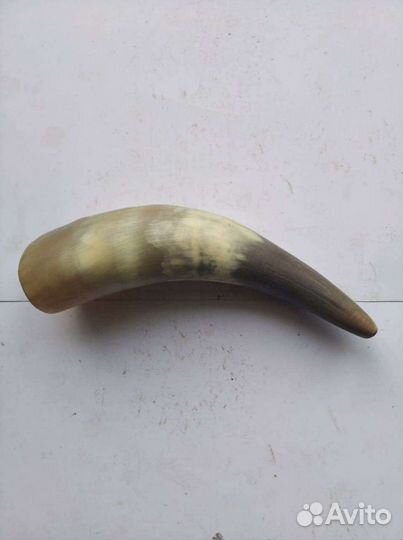 Рог для вина, Рог для напитков