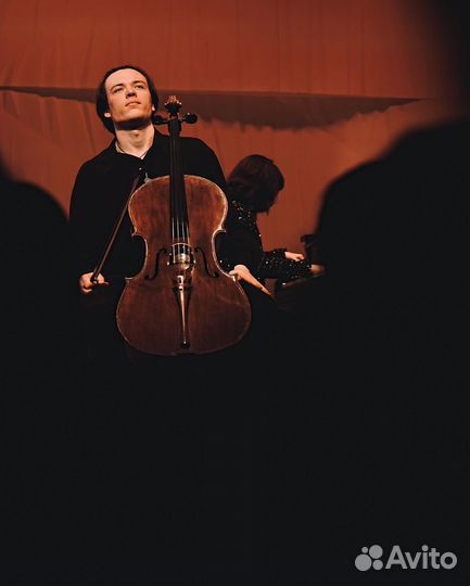 Репетитор по виолончели и сольфеджио