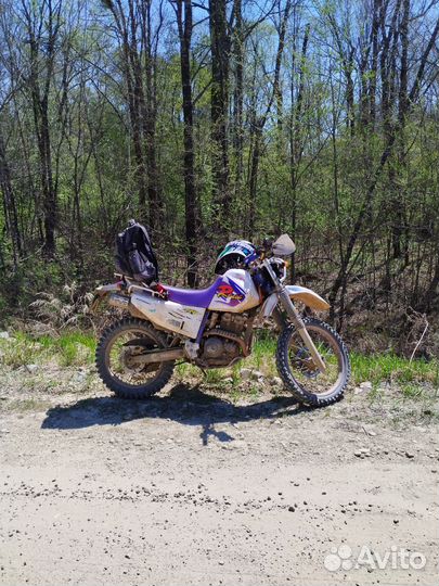 Yamaha TTR Raid 250 Enduro