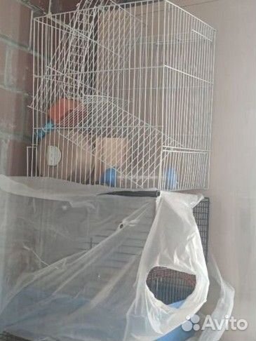 Продам клетку для хомяка