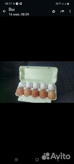 Яица домашние деревенские от своих курочек