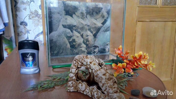 Аквариум+фильтр+начинка+сачок