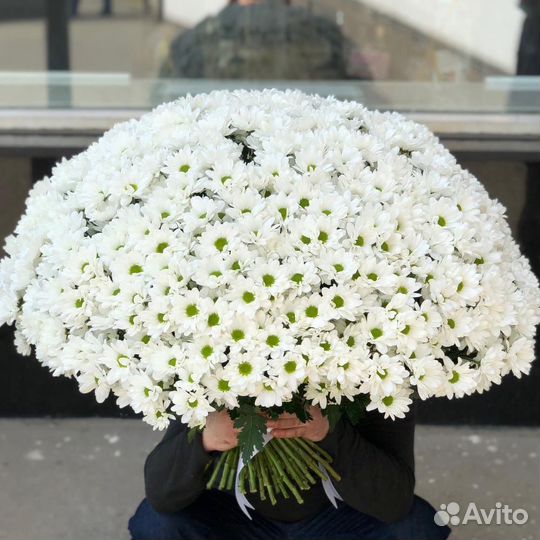 Букет из хризантем, букет гигант, 101 хризантема