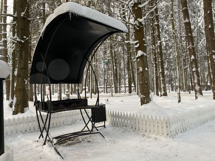 Дом 42 м² на участке 3 га