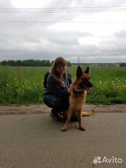 Кинолог зоопсихолог