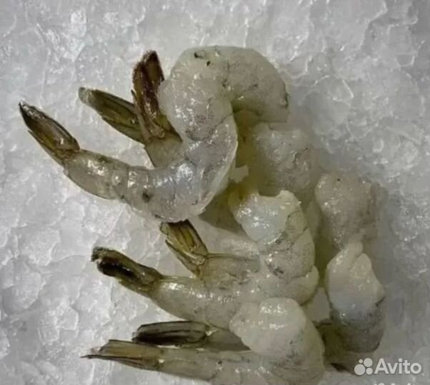 Kреветка очищенная серая на хвосте