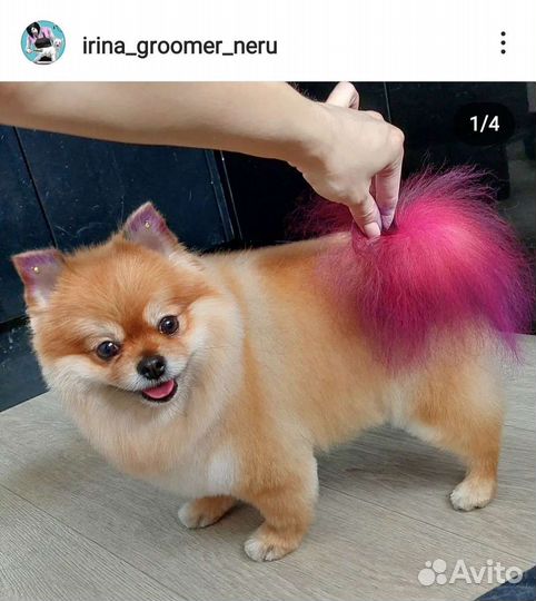 Стрижка животных