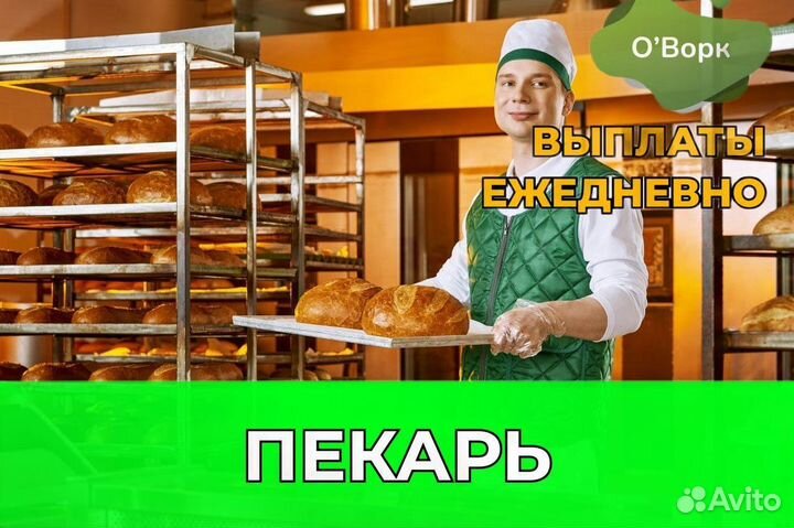 Пекарь без опыта. ov071