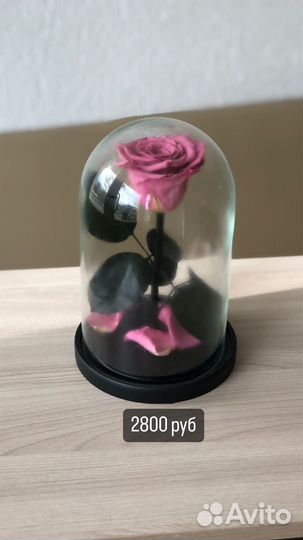 Роза в колбе