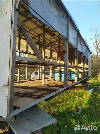 Улей с пчелами