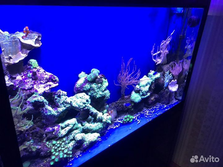 Морской аквариум