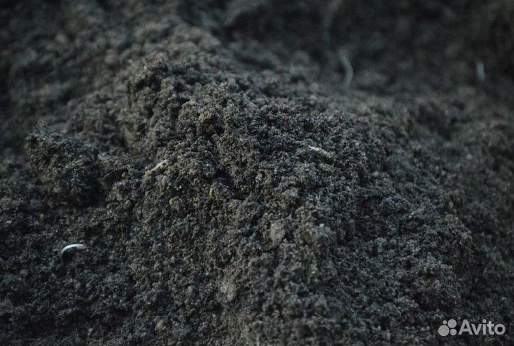 Плодородный грунт Чернозём Торфосмесь Песок Щебень