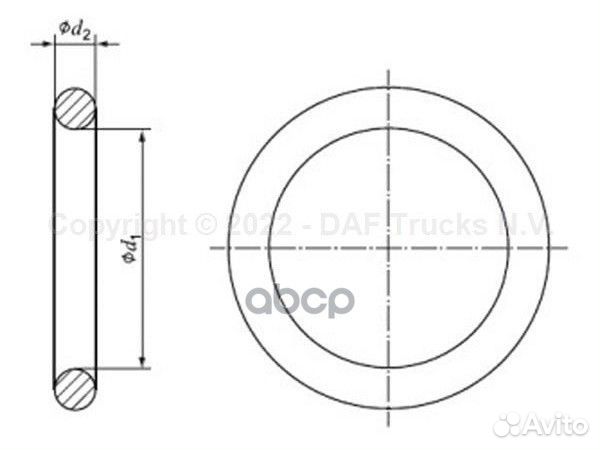 Кольцо форсунки DAF 1638270/72000119/407311700