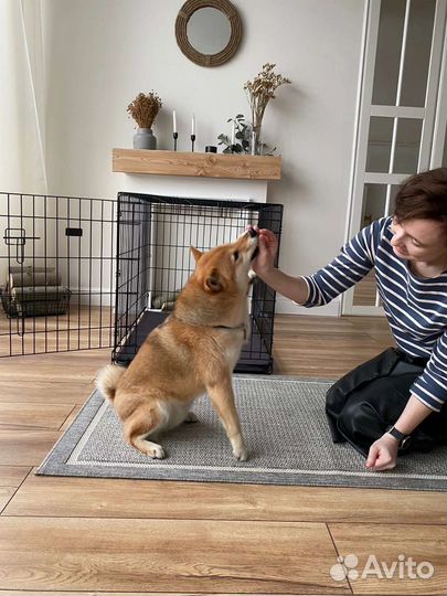 Клетка для собак N4 (93х67х71)