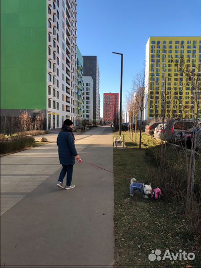 Передержка животных (собак,грызунов,птиц)