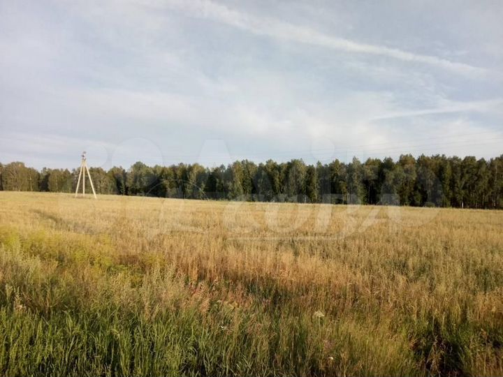 Участок 8 сот. (ИЖС)