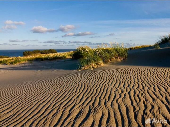 Экскурсия на Куршскую косу и в Зеленоградск
