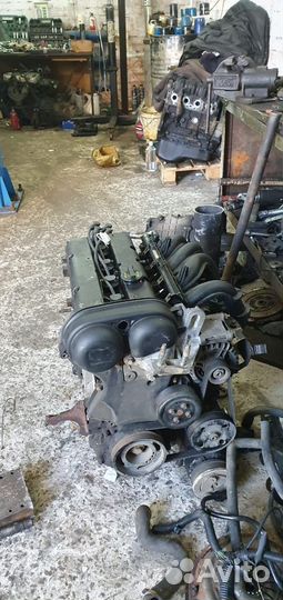 Двигатель ford focus 2 1.6