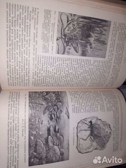 Н.М.Страхов. Историческая геология. 1938 г