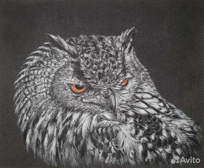 Картина Филин