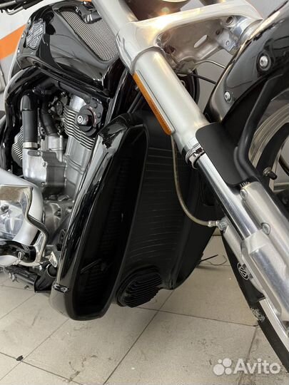 Harley Davidson Vrod Muscle