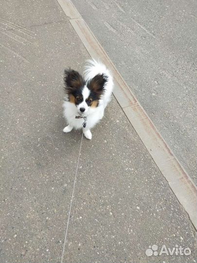 Красавчик мальчик