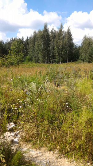 Участок 22 сот. (ИЖС)