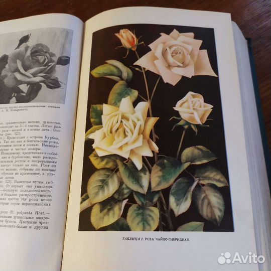 Книга 1953 г