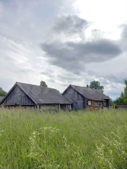 Дом 40 м² на участке 20 сот.