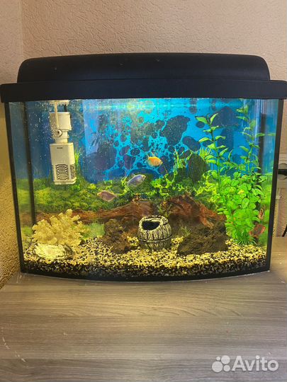 Аквариум с рыбками 35 литров