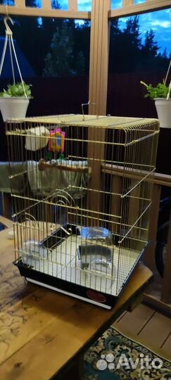 Клетка для попугая. торг уместен