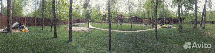 Рулонный газон, укладка, продажа