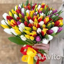 Тюльпаны оптом