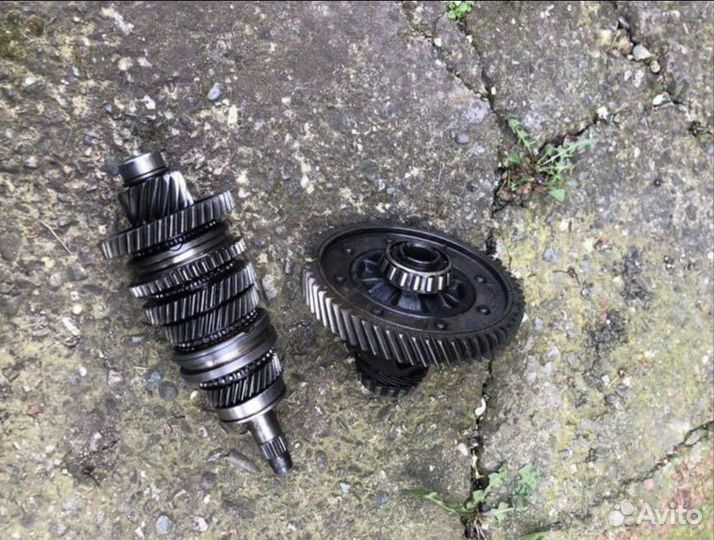 Главня пара 4.1