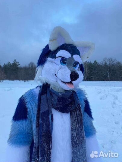 Фурсьют волка