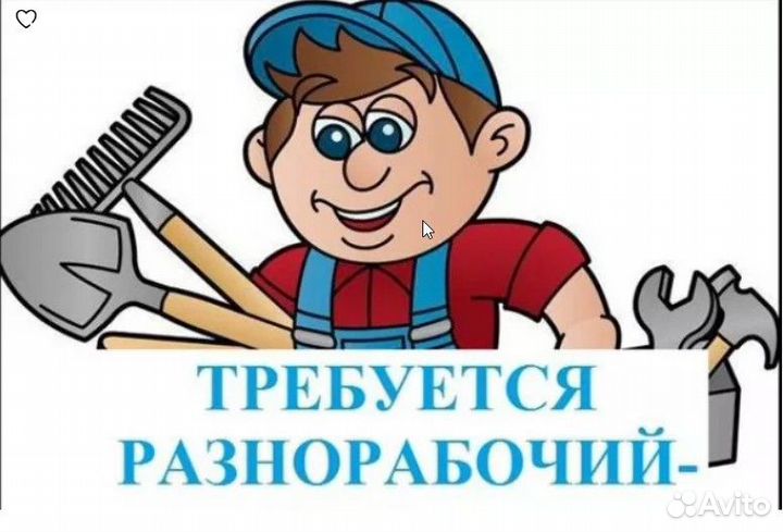 Разнорабочий с ежедневной оплатой строительство