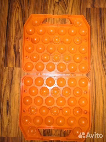 Яйцеклетка