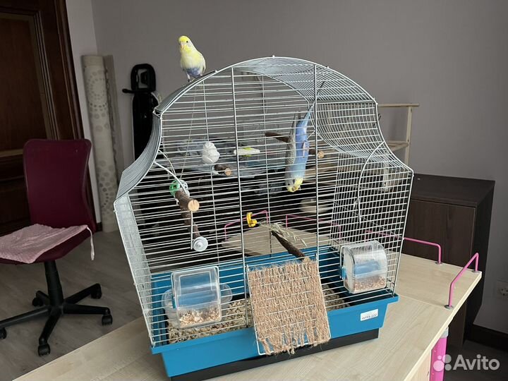 Клетка для попугая