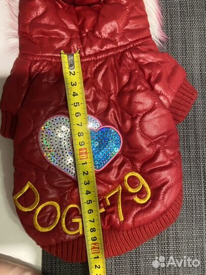 Зимний комбинезон для собак мини-пород